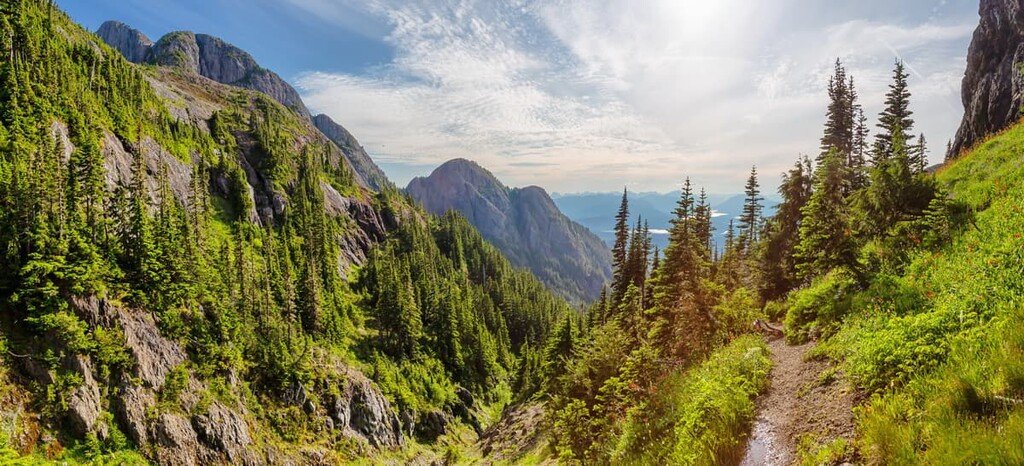 vancouver island wilderness tours